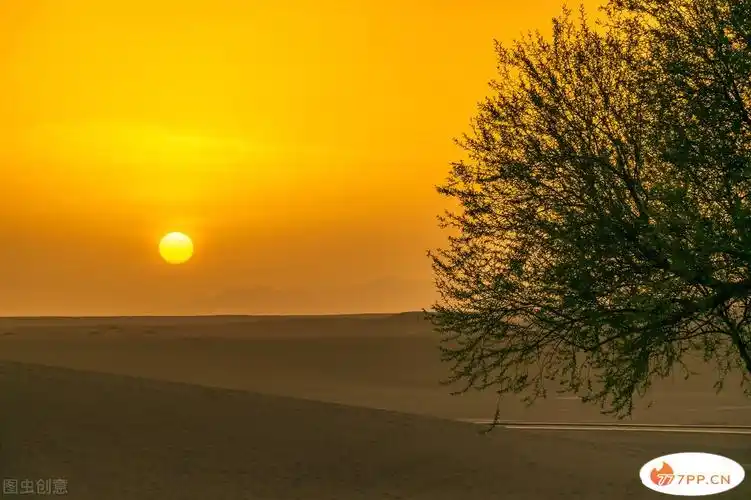 日出照片清晨太阳真实照片(中国十大最美日出_777排行网
