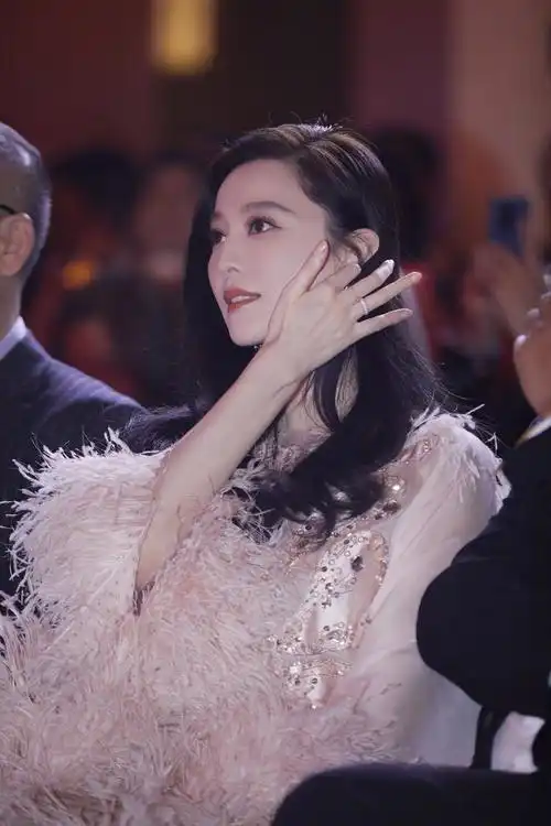 一方面,支持范冰冰复出的观点认为,她虽然曾因逃税问题而深陷困境,但