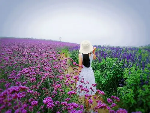 不去想哭了笑了累了倦了 这一刻 看着你的背影渐行渐远 花丛间的这一