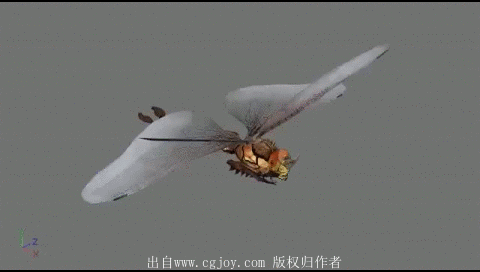 幽灵 蜻蜓 人形翅膀怪等怪物的攻击 死亡 击倒 飞行 休闲 待机 走 跑