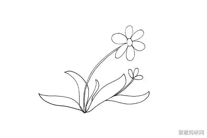 午时花简笔画大图 简笔画图片大全-普车都