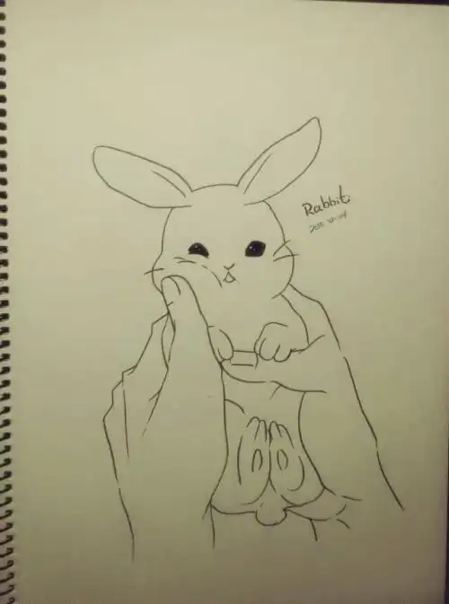 素描画鹰简笔画素描简笔画12岁可爱的铅笔画铅笔画简笔画文化绘画素描