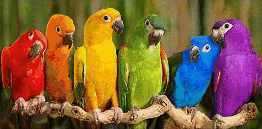 564_279gif 动态图 动图