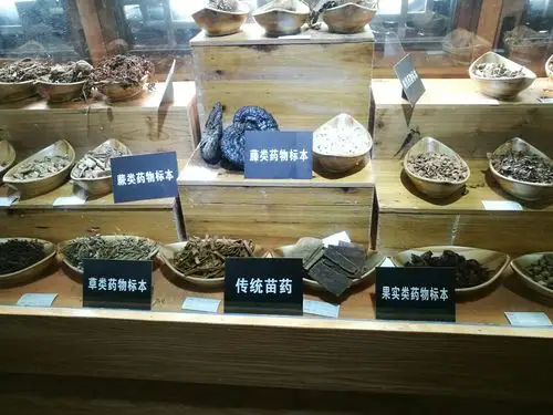 黔行快乐时光苗医苗药