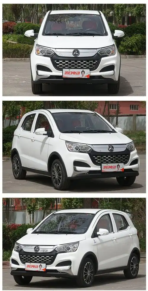 鸿日s1电动汽车pro四轮代步残疾人助力车油电两用新能源低速电轿 - 爱