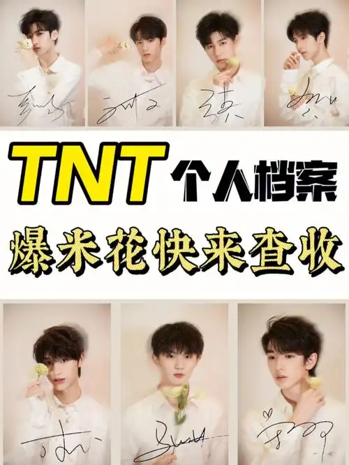 tnt个人档案爆米花必看重庆