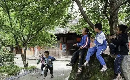 乡村童年"撒欢记",感受农耕文化,探索自然之旅