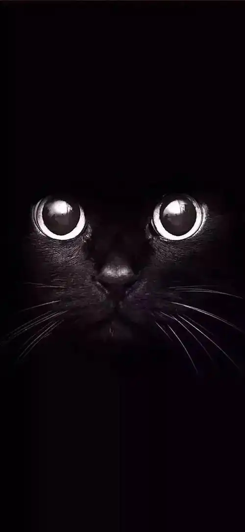 高清黑色壁纸黑色炫酷神秘系列