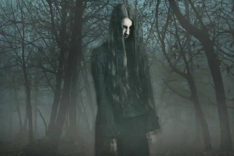 古老树木下的恐怖幽灵