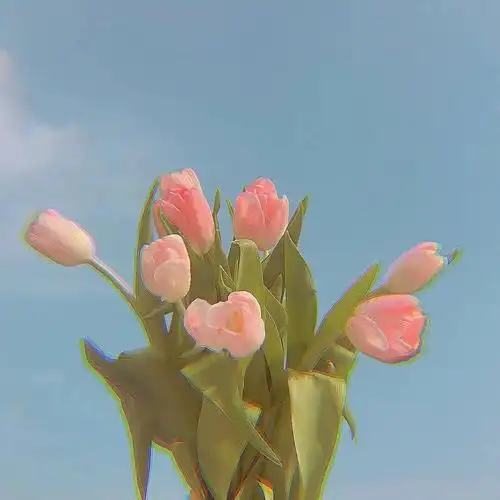 正能量唯美温柔句子,朋友圈一句话说说2020