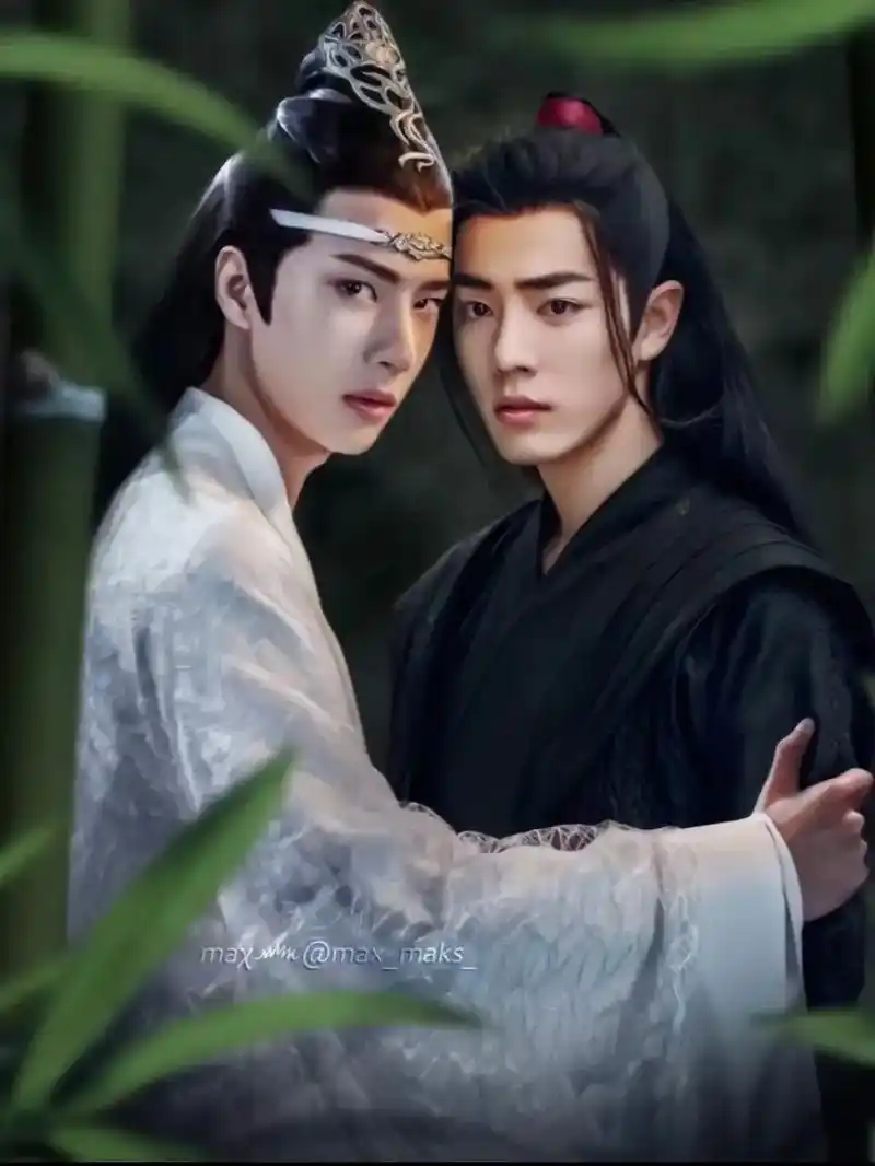 陈情令肖战王一博 #蓝忘机魏无羡 #我想带一人回云深不知处 - 抖音