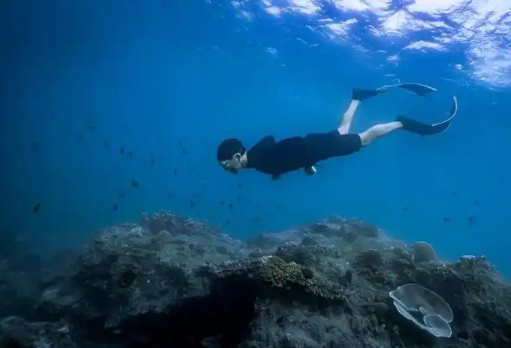 潜水是件浪漫的事一起做个蓝色的梦吧