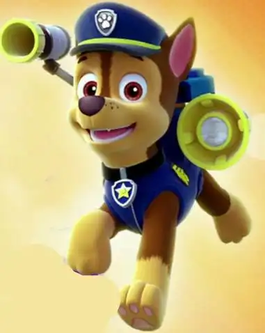 p>阿奇(chase)是动画片《汪汪队立大功》中的角色,是一只德国牧羊犬