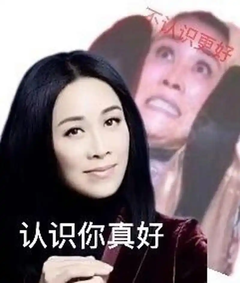 那英经典表情包 之