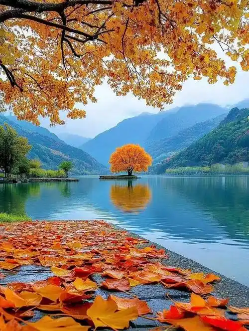 10首经典晚秋诗词,唯美了流年,沉醉了心扉