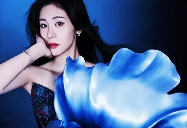 消失的星空出现在了张碧晨的红毯上