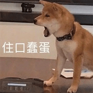 沙雕表情包l抖音最火斗图表情包