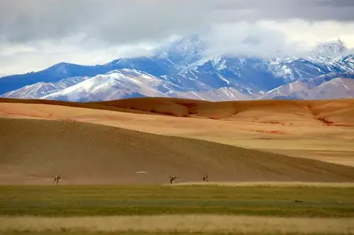 走进西藏(4)……精灵的乐园～藏北羌塘/可可西里无人区