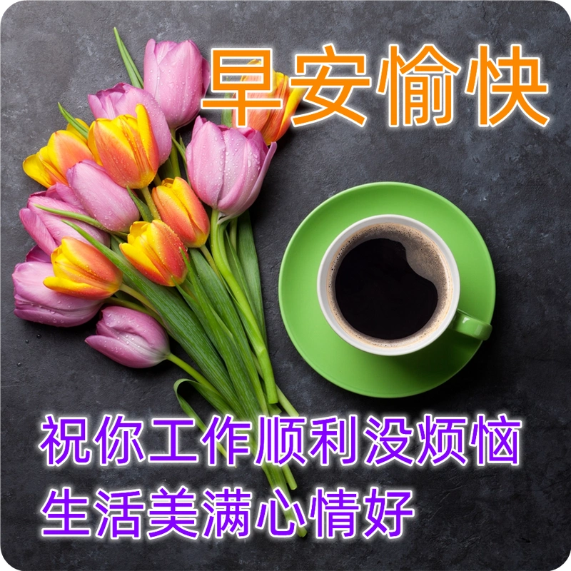 春天最新有创意的亲人早上好祝福语表情图片带字 友谊早安问候语