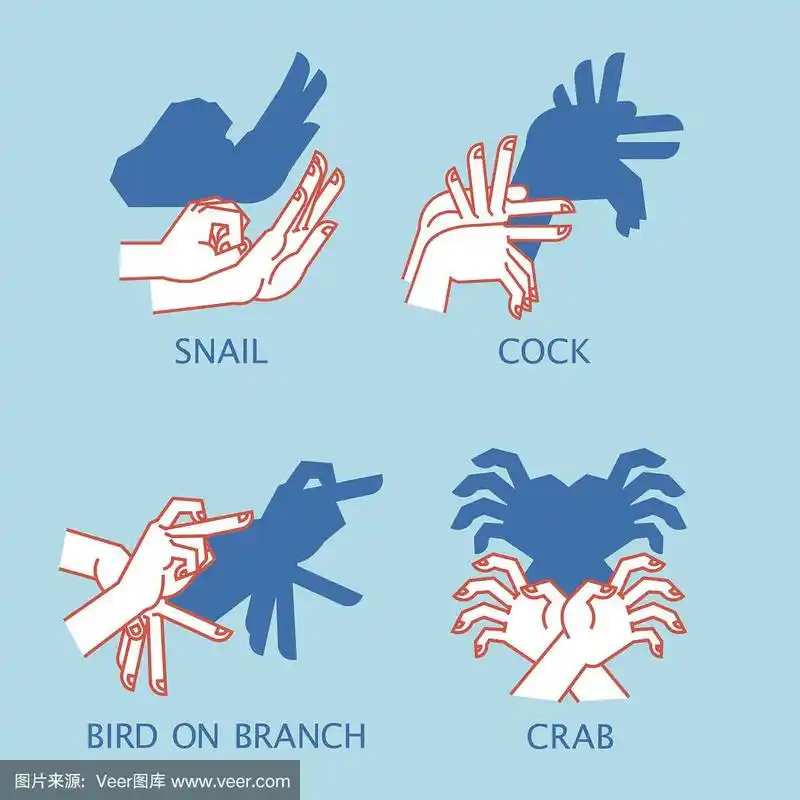 影子剧院.手势就像飞翔的鸟.矢量图的影子手木偶.