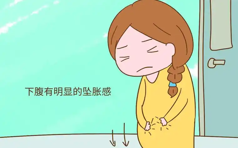 孕妇在宫缩的时候会感觉小腹下坠