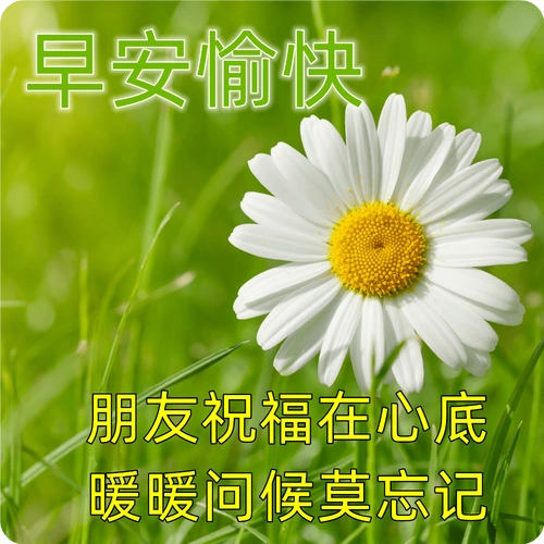 9张清新漂亮早上好图片带祝福语 漂亮的聊天问候祝福图片大全_人生