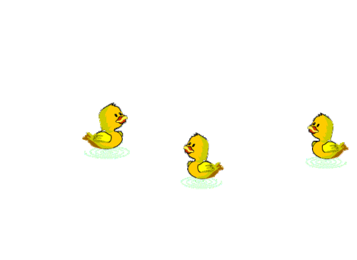 550_400gif 动态图 动图