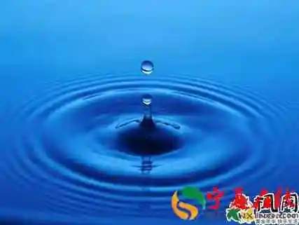 早上梦见水是什么意思