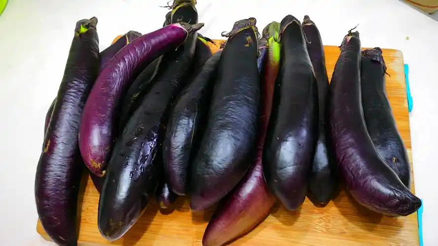 秋天的茄子为什么不能吃