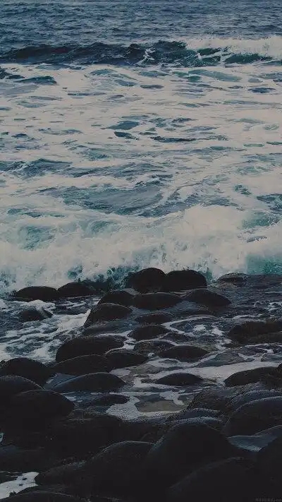 卡卡西竖屏壁纸