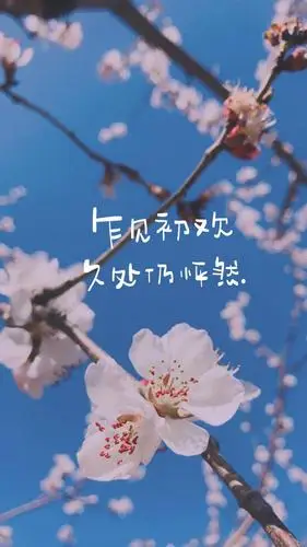 简约唯美的心灵鸡汤文案,非主流-手机壁纸