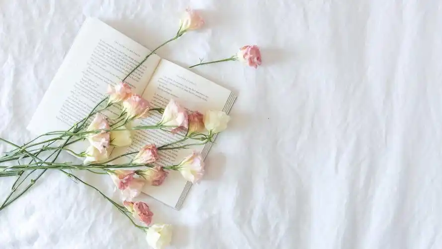 简约淡雅 床花 书的照片4k图片壁纸简约淡雅壁纸图片_桌面壁纸图片_壁