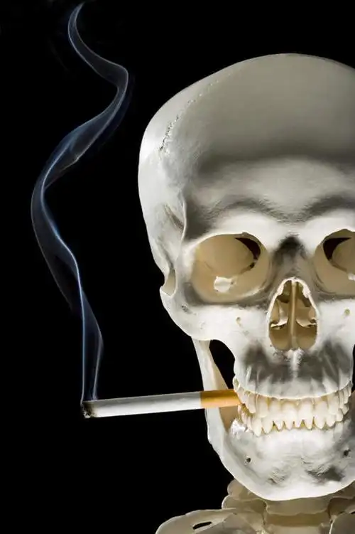 头,颅骨,骨骼,无人,竖图,室内,特写,白天,正面,香烟,黑色背景,骷髅