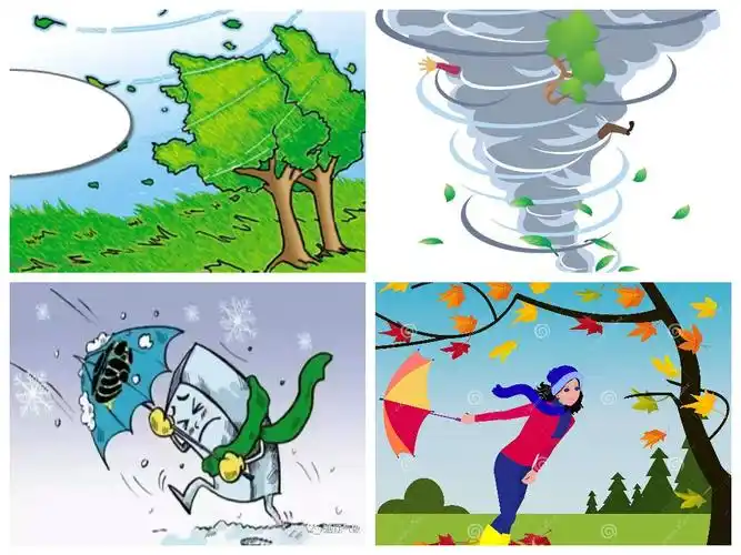 二,认识风向风力,会简单判断风向.