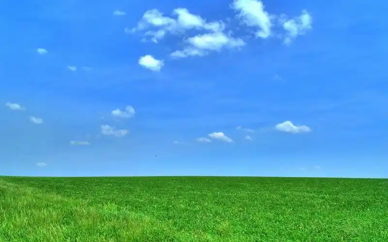 清新护眼绿色草地风景图片桌面壁纸