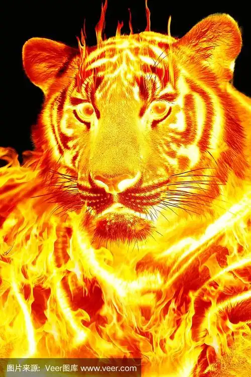 老虎和火