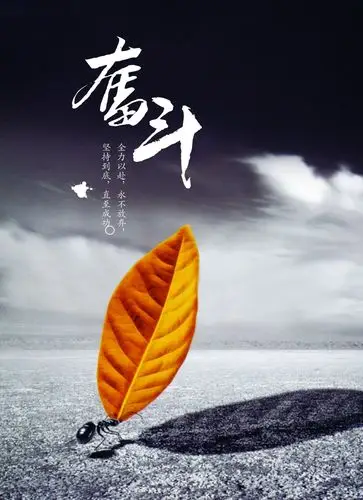 毕业后上班六个月今天为自己的努力感到一丝欣慰