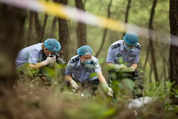 重庆女法医杨发英获评全国公安系统二级英雄模范称号