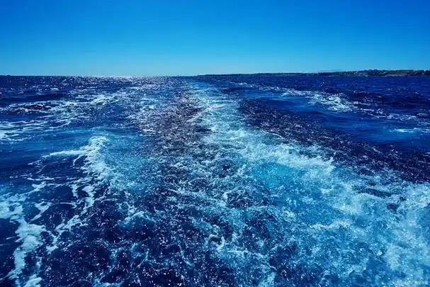 追梦蓝海截流大师-多平台截流综合工具