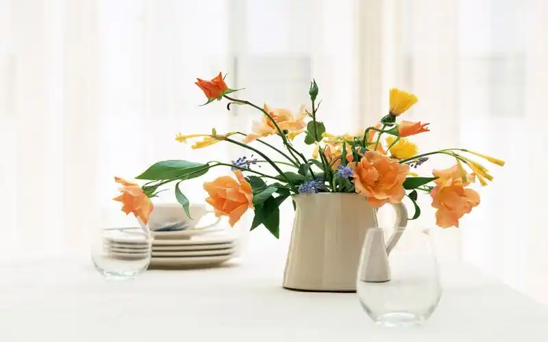 室内简约清新的植物花卉图片桌面壁纸,风景壁纸,唯美,简约,花卉,植物