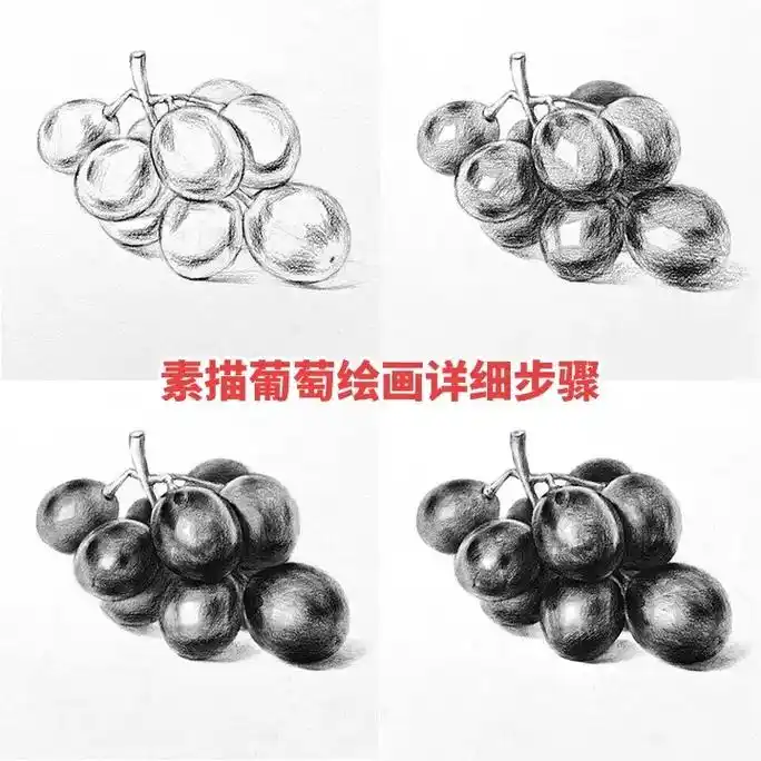素描静物葡萄绘画详细步骤教程.素描葡萄#素描 #一起学画画  - 抖音