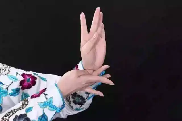 邀您来看"梅派戏曲兰花指摄影艺术展"-文化频道-手机搜狐