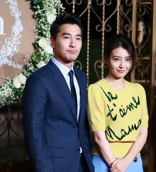 高圆圆:我这辈子最正确的决定,就是在40岁高龄为小丈夫生孩子_职业