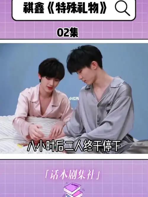 祺鑫小说特殊礼物02