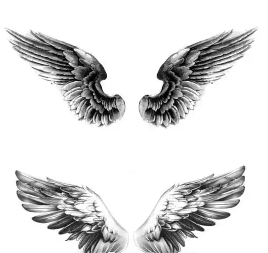 翅膀纹身手稿