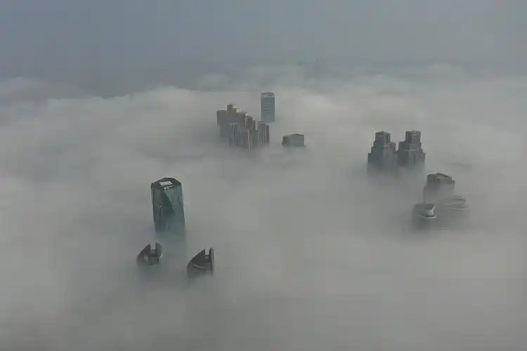 青岛为什么会有风雾天气(青岛为什么会有风雾天气现像)