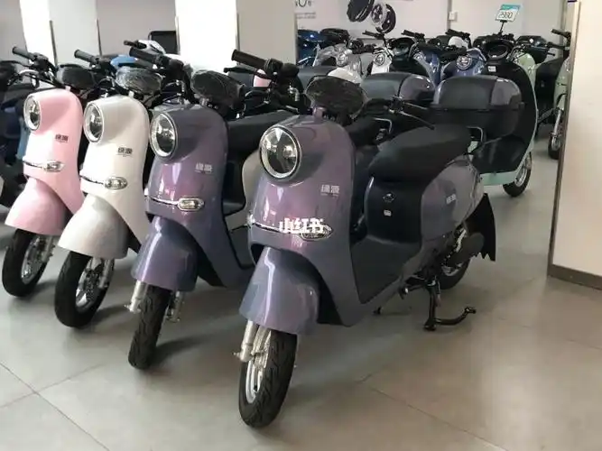 绿源电动车zcl宝丽 铅酸版本 锂电版本