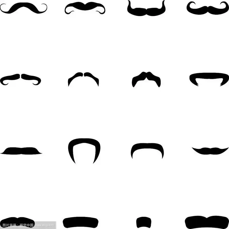 不同类型的胡子