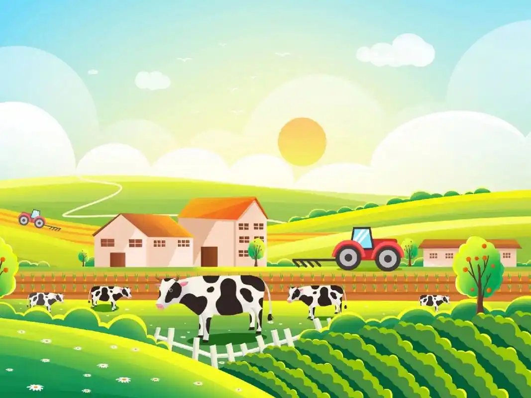 秋天是大丰收的季节,秋分的时节也到了 放眼望去整个麦田都是金黄色的