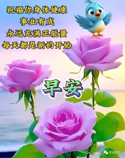 每天问候增友谊,相互惦记在心里!早上好!万事如意 !